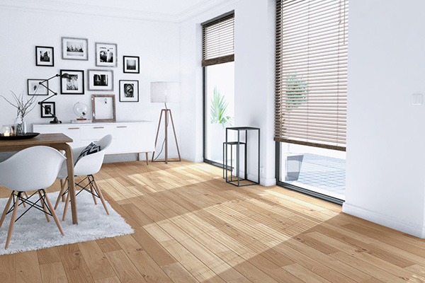 Photo d'un salon moderne avec un parquet contrecollé